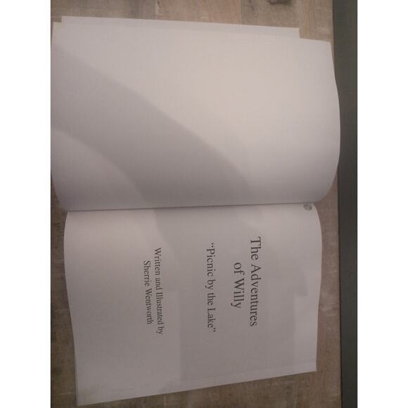 The Adventures of Willy "Picnic by the Lake" by Sherrie Wenworth (2006, HC) - Picture 5 of 6